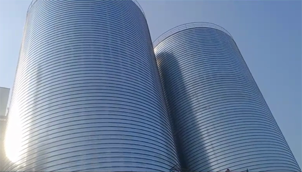 石河镇2座混凝土高架卷板仓